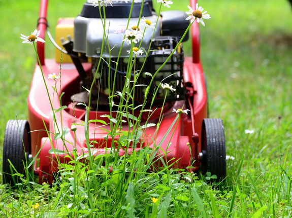rasenmähen