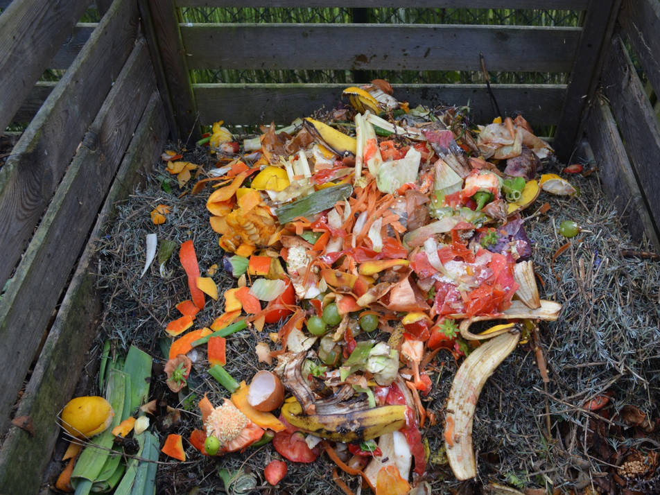 biomüll